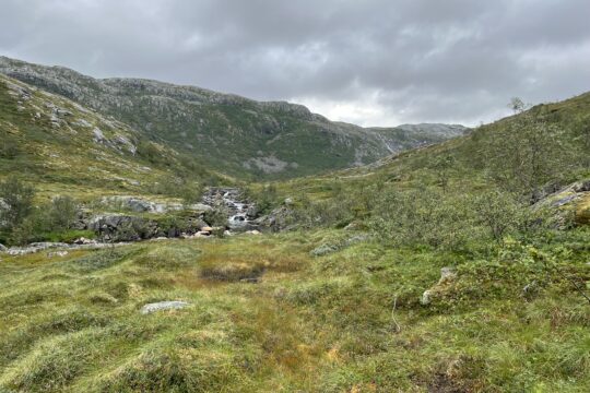 Dagsvikvannet